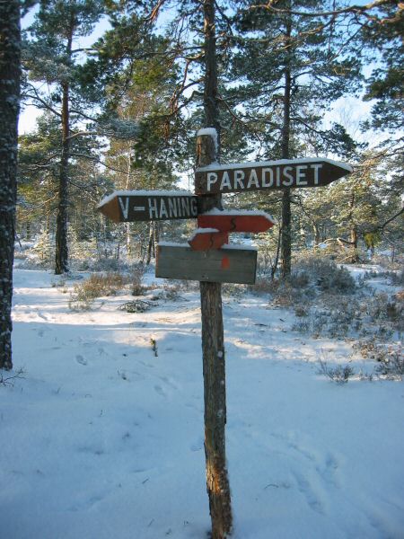 Trail intersection