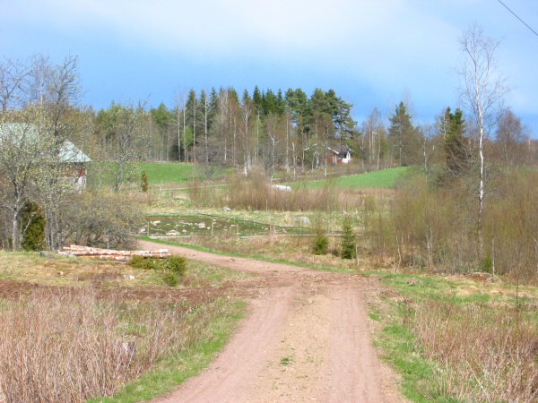 The road to the tower