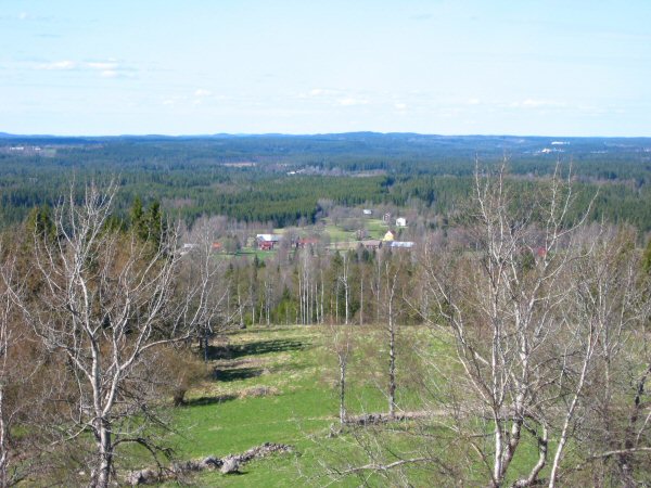 View from the tower