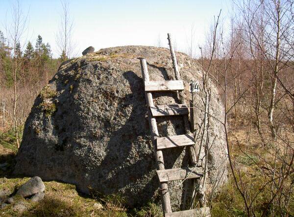 The highpoint of Kalmar County. A rock with a wooden ladder