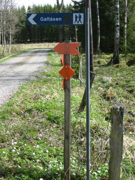 The road sign